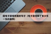 因电子游戏荒废的句子（电子游戏毁了青少年一生的案例）