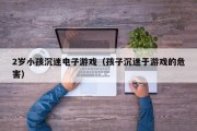 2岁小孩沉迷电子游戏（孩子沉迷于游戏的危害）