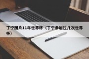 丁宁图片11年世界杯（丁宁参加过几次世界杯）