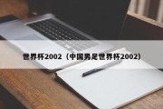 世界杯2002（中国男足世界杯2002）