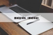 挪威篮球队（挪威球迷）