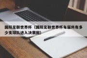 国际足联世界杯（国际足联世界杯每届共有多少支球队进入决赛圈）