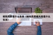艳阳高照是什么生肖（艳阳高照暖大地是什么生肖）