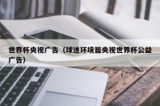世界杯央视广告（球迷环境篇央视世界杯公益广告）