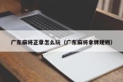 广东麻将正章怎么玩（广东麻将拿牌规则）