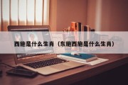西施是什么生肖（东施西施是什么生肖）