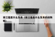 宋江是属什么生肖（宋江是属什么生肖的动物呢）