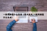 一帆风顺是什么生肖（家大业大,一帆风顺是什么生肖）