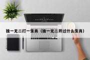 独一无二打一生肖（独一无二开过什么生肖）