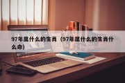 97年属什么的生肖（97年属什么的生肖什么命）