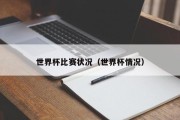 世界杯比赛状况（世界杯情况）