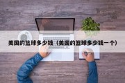 美国的篮球多少钱（美国的篮球多少钱一个）