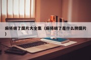 麻将胡了图片大全集（麻将胡了是什么牌图片）