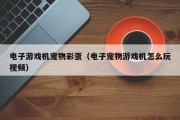 电子游戏机宠物彩蛋（电子宠物游戏机怎么玩视频）