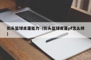 街头篮球皮蓬能力（街头篮球皮蓬pf怎么样）