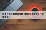 网上开电子游戏机涉赌（利用电子游戏机开设赌场罪）