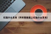 红指什么生肖（开折西施面上红指什么生肖）