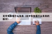 无中生有是什么生肖（无中生有是什么生肖的数字）