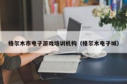 格尔木市电子游戏培训机构（格尔木电子城）