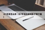 小7手游怎么样（小7手游的游戏属于哪个服）