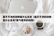 最不干净的动物是什么生肖（最不干净的动物是什么生肖?臭气熏天的动物）