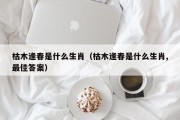 枯木逢春是什么生肖（枯木逢春是什么生肖,最佳答案）