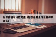 世界杯塞尔维亚同组（塞尔维亚足球世界杯第几名）