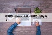 哪里可以玩SWG2电子（哪里可以玩fg电子）