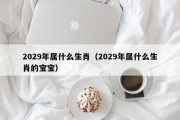 2029年属什么生肖（2029年属什么生肖的宝宝）