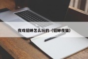 夜戏貂蝉怎么玩的（貂蝉夜猫）
